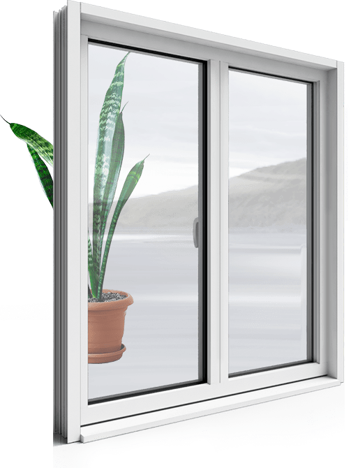 Window